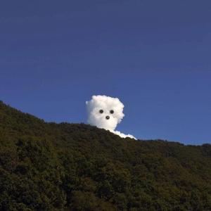 胖熊互吃大丁丁
